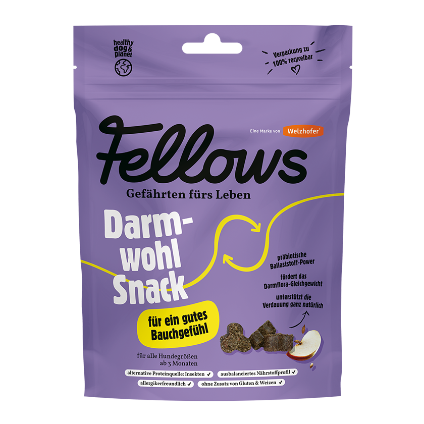 Fellows Darmwohl Snack 125 g