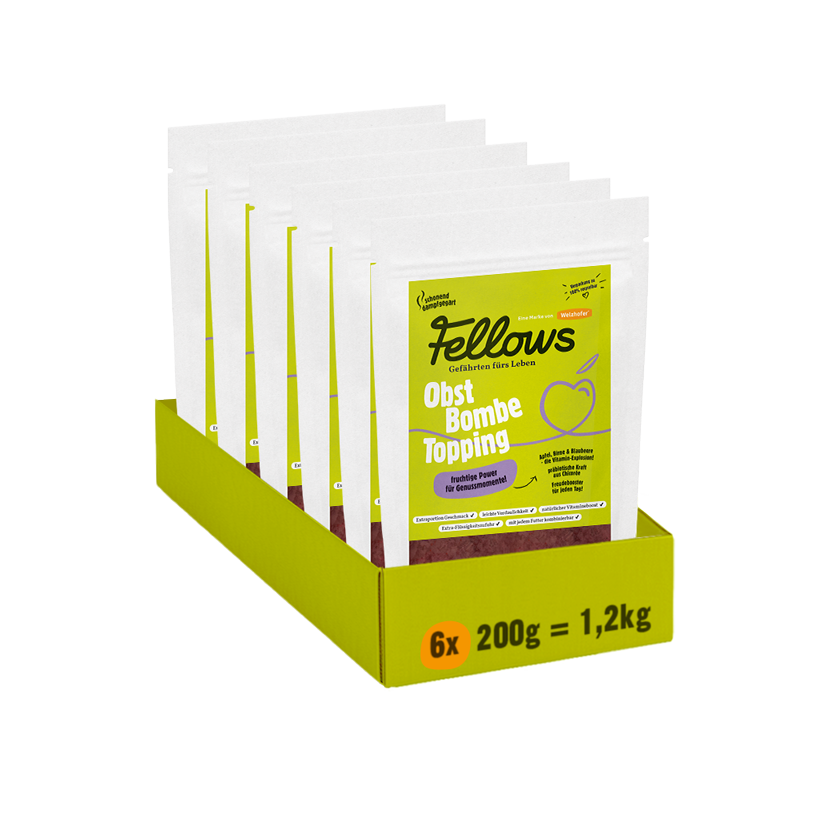Fellows Obst Bombe Topping 6 x 200 g