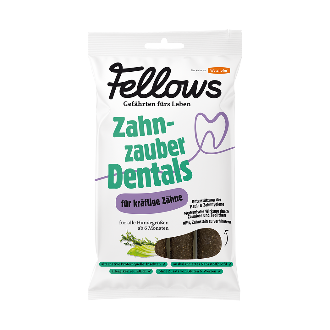 Fellows Zahnzauber Dentals 160 g