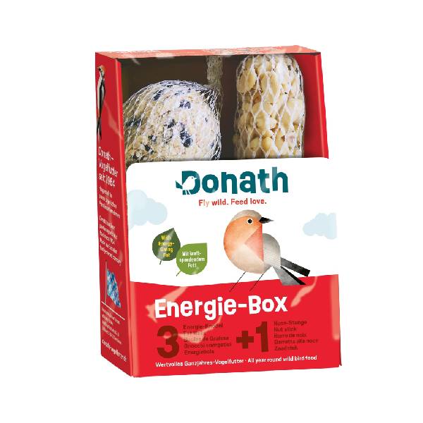 Energie-Box 3+1